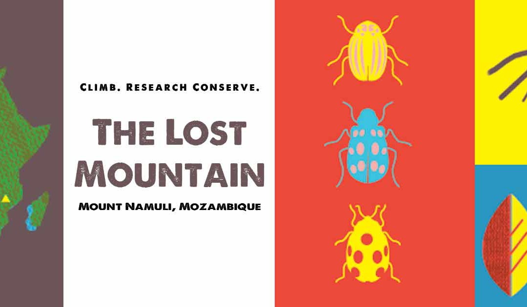 The Lost Mountain Project